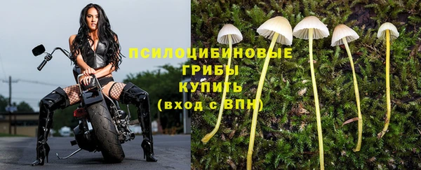 кокс Алзамай