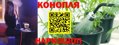 индика Ивантеевка
