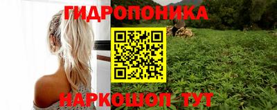 дмт Ижевск