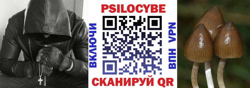 Галлюциногенные грибы Cubensis магазин Канск