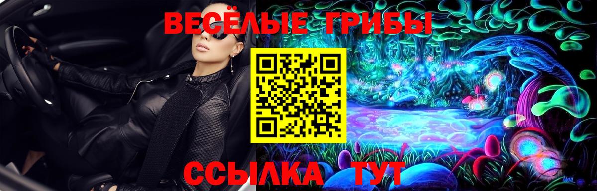 Галлюциногенные грибы Cubensis Канск