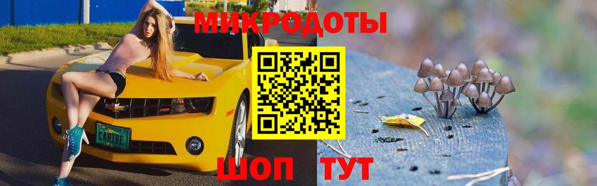 наркошоп  Псилоцибиновые грибы Cubensis  Вход с VPN  Псилоцибиновые грибы GOLDEN TEACHER  Канск 