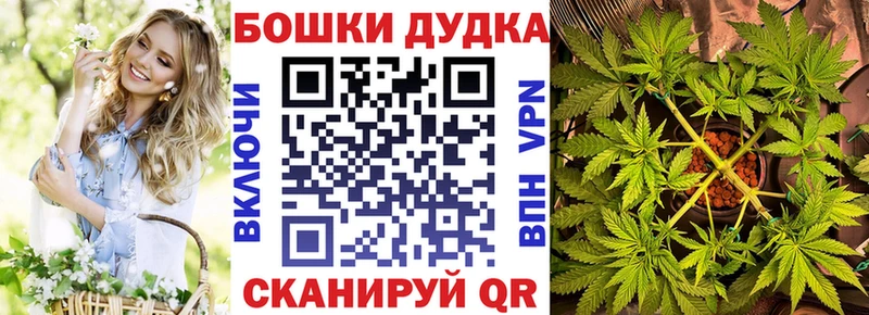Каннабис план  Канск 